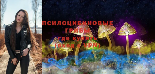 ПСИЛОЦИБИНОВЫЕ ГРИБЫ Алексеевка