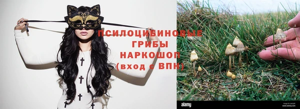 ПСИЛОЦИБИНОВЫЕ ГРИБЫ Алексеевка