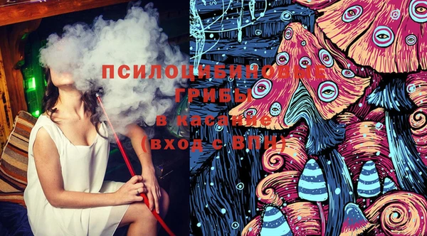 ПСИЛОЦИБИНОВЫЕ ГРИБЫ Алексеевка